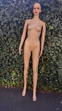 rootstein for sale rootstein for sale Dumont