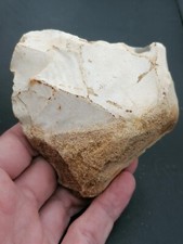 Lower paleolithic acheulean d'occasion  Bonneville