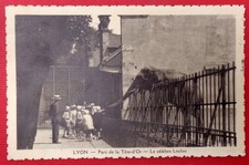 Lyon parc tete d'occasion  Viry