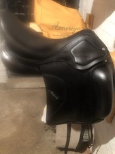 Amerigo siena dressage for sale Amerigo siena dressage for sale  YORK
