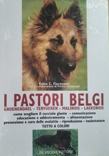 Pastori belgi groenendael usato  Italia