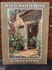 Vintage wild woodbine for sale  BLANDFORD FORUM