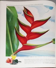 1941 vogue fashion for sale  Ilion