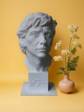 Ayrton senna busto usato  San Pietro a Maida