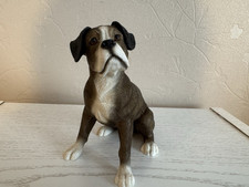 Stunning realistic boxer for sale  WORKSOP
