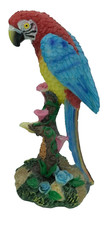 Red scarlet macaw for sale  Syracuse