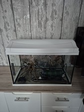 Aquarium gebraucht kaufen  Cottbus