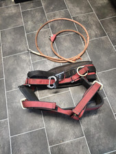 Shelock tree surgeon for sale  SALISBURY