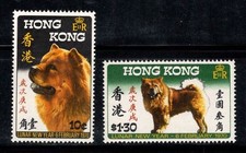 Hong kong 1970 usato  Bitonto