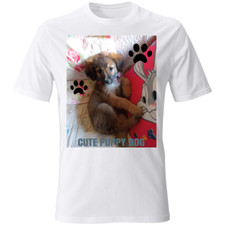 Shirt uomo donna usato  Valdilana