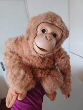 Singe moco jemini d'occasion  Pessac