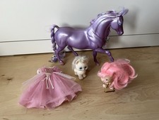 Lady lockenlicht katze gebraucht kaufen  Köln
