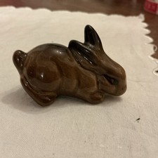 rabbits bunny for sale rabbits bunny for sale POOLE