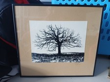 Beautiful framed photo. for sale  Riverview
