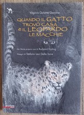 Offerta quando gatto usato  Torino
