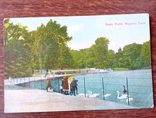 Duck pond regents for sale  NORTHAMPTON