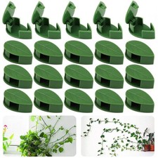 100pc climbing plant d'occasion  Expédié en Belgium