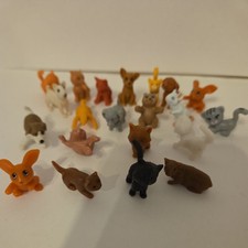 Tiny pet dog for sale  MANSFIELD