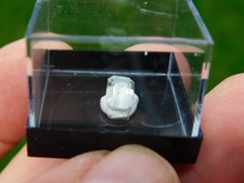 Turmalin facettiert brasilien gebraucht kaufen Turmalin facettiert brasilien gebraucht kaufen  Limbach-Oberfrohna