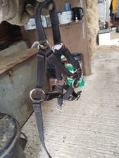 Foal headcollar for sale  UMBERLEIGH