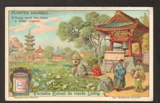 Image liebig plantes d'occasion  Baugy