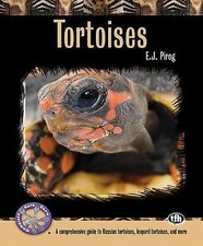 Tortoises comprehensive guide for sale  Memphis