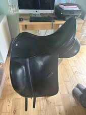 Collegiate nobility dressage for sale  GOOLE