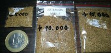 Artemisia Annua, yuyo, ajenjo dulce, más de 5.000 semillas de cultivo ecologico comprar usado  Enviando para Brazil