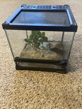 Mini reptile glass for sale  Lindenhurst