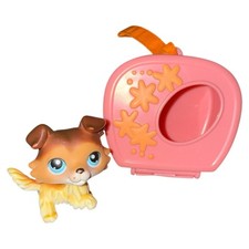 Littlest pet shop for sale  Waterbury