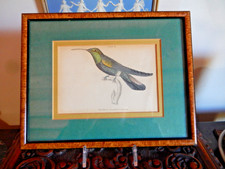 Audubon bird print for sale  Santa Fe