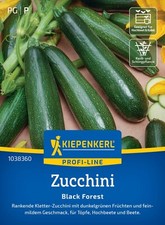 Kletter zucchini black gebraucht kaufen  Elchesheim-Illingen