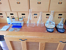 Yeast starter yeast for sale  HORNSEA