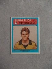 Uwe schreml spvgg gebraucht kaufen  Kefenrod
