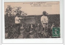 Vendanges porteurs benne d'occasion  France