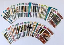 Netto zeanien geheimnisse gebraucht kaufen  Quickborn