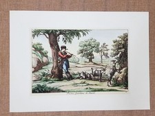 Litografia pastore armenti usato  Villarosa