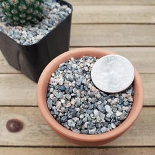 1lb grid top for sale  Fallbrook