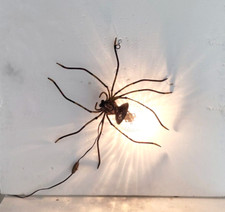 Lampada ragno parete usato  Baranzate