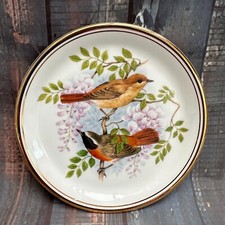 Birds hedgerow plate for sale  HOLMFIRTH