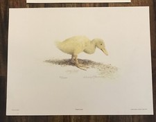 Duckling yellow duck for sale  Greenwood