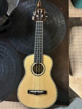 Mitchell mu70 fret for sale  San Angelo