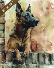 Belgian malinois guarding d'occasion  Expédié en Belgium