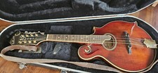 Ashbury mandolin cfm for sale  EXMOUTH