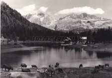 dolomite lago usato dolomite lago usato Roma