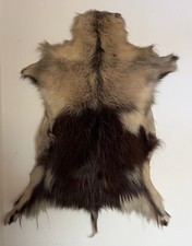 Rentierfell echt gebraucht kaufen  Rheinzabern