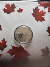 Silbermünze maple leaves gebraucht kaufen  Halle