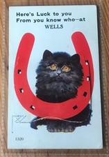 Novelty pull postcard for sale  WORTHING