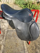 Gorgeous jeffries falcon for sale  HARROGATE