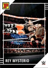Card panini wwe usato  Italia